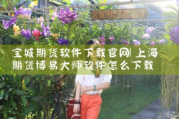宝城期货软件下载官网