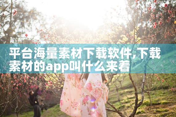 平台海量素材下载软件