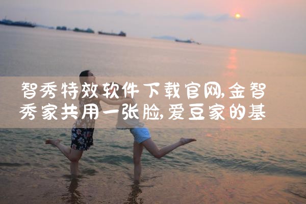 智秀特效软件下载官网