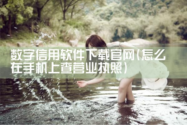 数字信用软件下载官网