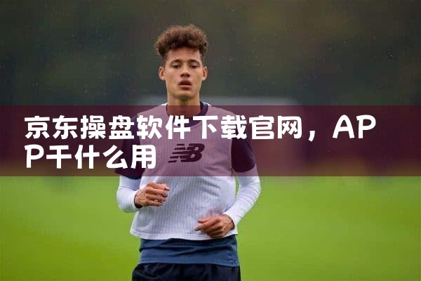 京东操盘软件下载官网